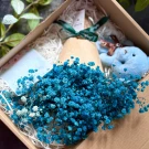 Gift Box Lost in Dreams - Xanh