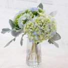 Blue and green hydrangeas with dusty miller leaves in a clear glass vase.