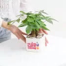 Cơ Bản