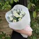 White tulips wrapped in white paper, held by a person.