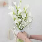 White calla lily bouquet with baby's breath, tied with lace, held by hands.