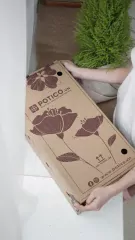 Box with "POTICO.VN" logo and floral design, held by hands.