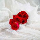 Red roses in a white lace-like wrapper on white fabric.