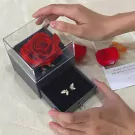 Cơ Bản