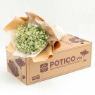 Bouquet of white daisies in brown and white paper on a cardboard box with "POTICO.VN" logo.