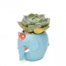 Blue elephant planter with a succulent plant and red and white polka dot decorations.