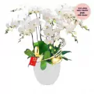White orchids in a pot with gold accents and a red tag.