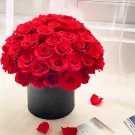A box of red roses with scattered rose petals.