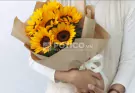 A bouquet of sunflowers wrapped in brown paper, tied with a white ribbon.
