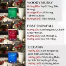 Christmas candles with fragrance notes: Woody Musky, First Snowfall, Oceania.