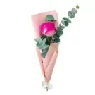 Pink rose and eucalyptus bouquet in pink paper wrap, tied with a ribbon.