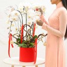 Woman in peach dress arranging white orchids in a red box decorated with red ribbons.