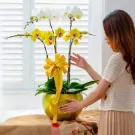 A woman admires a large pot of white and yellow orchids, decorated with a yellow bow.
