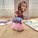Cute pink whale planter holding a purple succulent, with a Vogue magazine in the background.