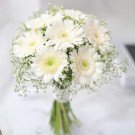 White gerbera daisy and baby's breath bridal bouquet.