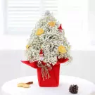 White baby's breath flower tree with dried orange slices and gnome ornaments in a red pot.