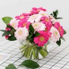 Pink and hot pink gerbera daisies in a clear glass vase with green stems.