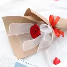 Red rose bouquet wrapped in brown paper and white tulle, tied with a red ribbon.