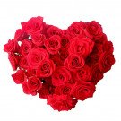 Heart-shaped bouquet of 50 red roses.