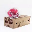 Pink carnation and chrysanthemum bouquet on a flower delivery box.