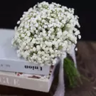 Wedding bouquet of white baby's breath flowers with white lace ribbon.
