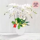 White orchids in a white vase with decorative accents and a red tag.
