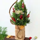 Mini pine tree with red berries, "Merry Christmas" banner, and dried orange slice.
