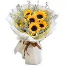 Beautiful You [CUCHI] - Cơ Bản
