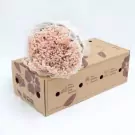 Pink baby's breath bouquet in a box with flowers and text.