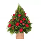 Green cypress tree with red carnations and berries in a burlap pot.