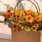 A bouquet of vibrant orange and yellow chrysanthemums arranged in a brown paper gift bag.