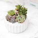 White fluted pot with assorted succulents and a small cat figurine.