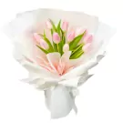 Bouquet of pink tulips with white and pink paper wrapping and a white ribbon bow.