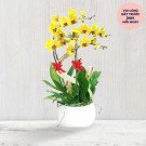 Pot of yellow orchids with red bows, in a white pot on a white wooden background.