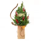 Christmas pine tree with red berries, "Merry Christmas" banner, and dried orange slice in a burlap pot.