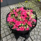 Love in Full Bloom 2