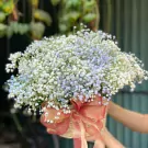 A basket of white baby's breath flowers with a peach ribbon, held by hands.