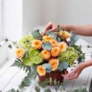 Basket of orange roses, green hydrangeas, anthurium, thistle, and eucalyptus.