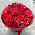Melody of Love 1