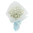 A bouquet of white baby's breath flowers wrapped in light blue paper and ribbon.