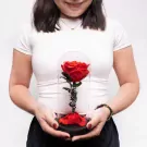 Đèn Hoa Hồng Beauty & The Beast - default