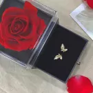 Cơ Bản