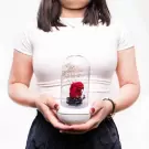 Woman holding a preserved red rose under a glass dome with a night light diffuser.