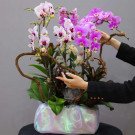 Orchid box with pink and purple orchids, branches, and greenery in a pearlescent pot.