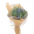Bouquet of blue baby's breath and greenery wrapped in brown paper.