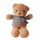 Brown teddy bear wearing a grey sweater with a pink badge.