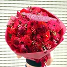 Melody of Love 3