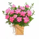 Pink lotus flowers in a wooden box, accented with greenery and twine.