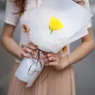 Cơ Bản