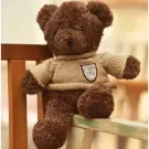 A brown teddy bear wearing a beige sweater with a patch sits on a wooden bench.